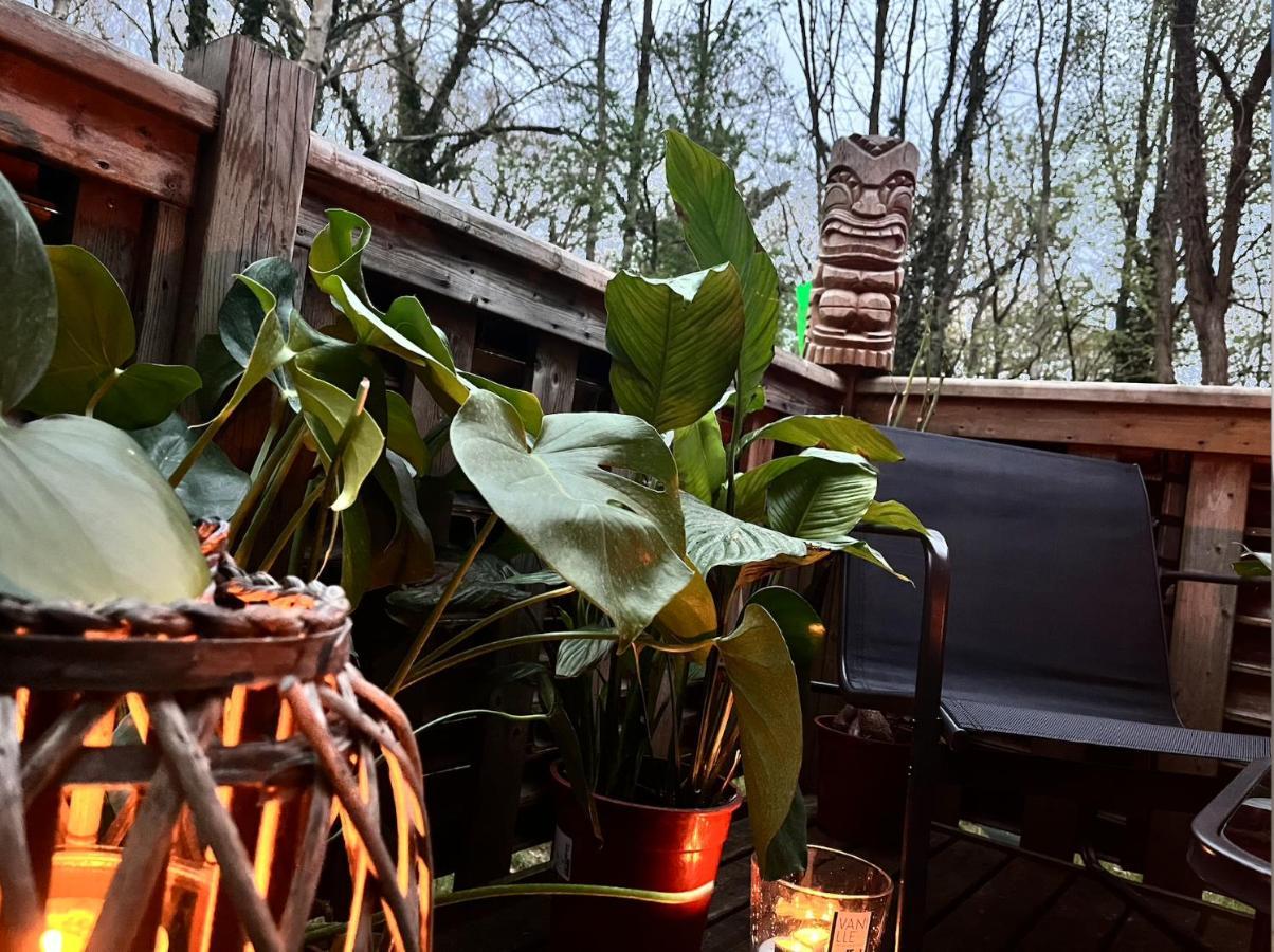 Tiki House M-Home-Climatise - Belle Parcelle ! Saint-Chéron Kültér fotó
