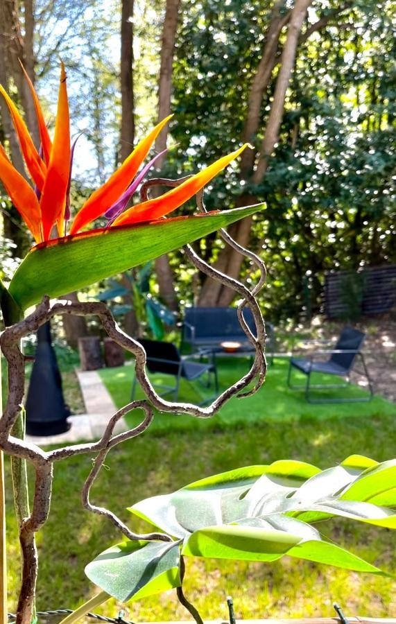 Tiki House M-Home-Climatise - Belle Parcelle ! Saint-Chéron Kültér fotó